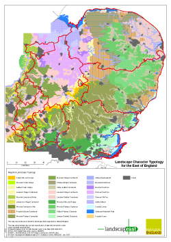 East of England Landscape Typology - A3 Portrait Map