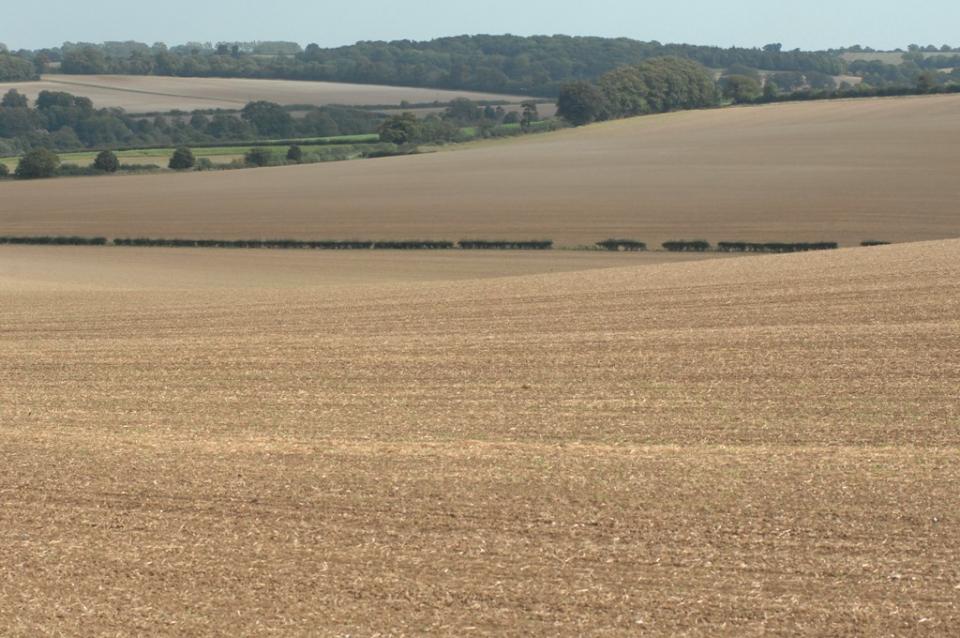 Chalk Hills and Scarps in West Suffolk