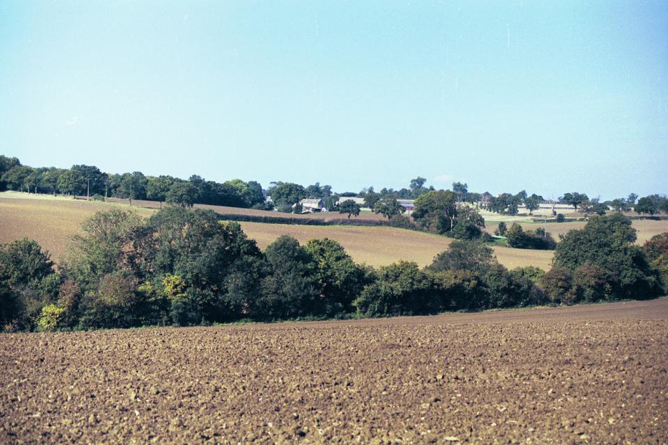 Settled Chalk Valleys - Old Bourn Valley, Woodend, Hertfordshire (© HCC Landscape)