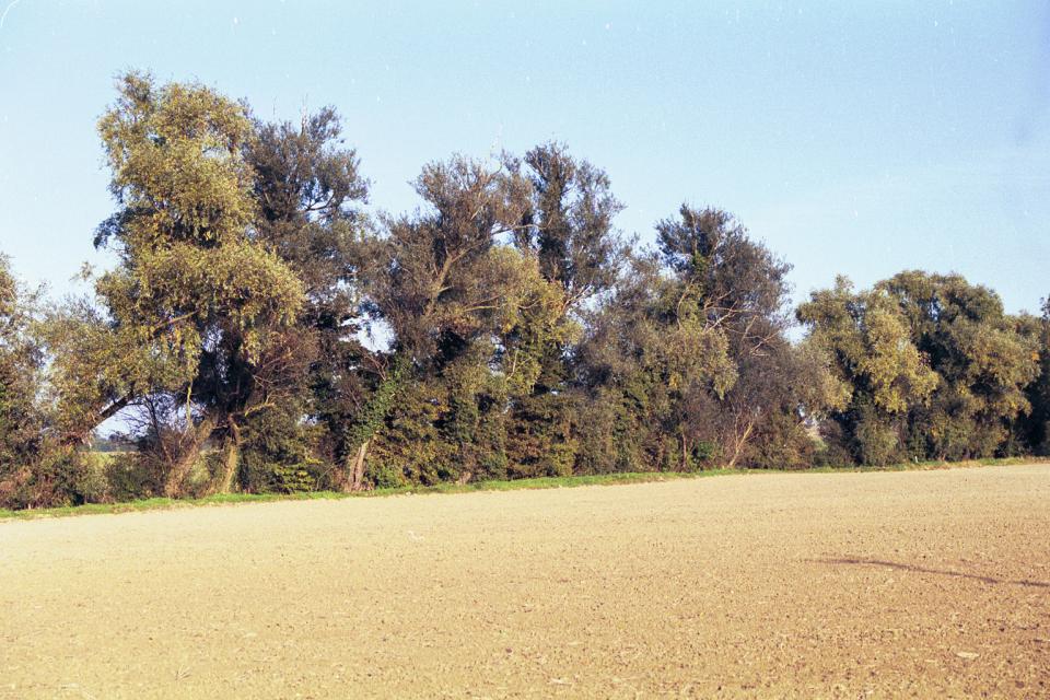 Lowland Village Farmlands + nr Mobbs Hole, Ashwell, Hertfordshire (© HCC Landscape)