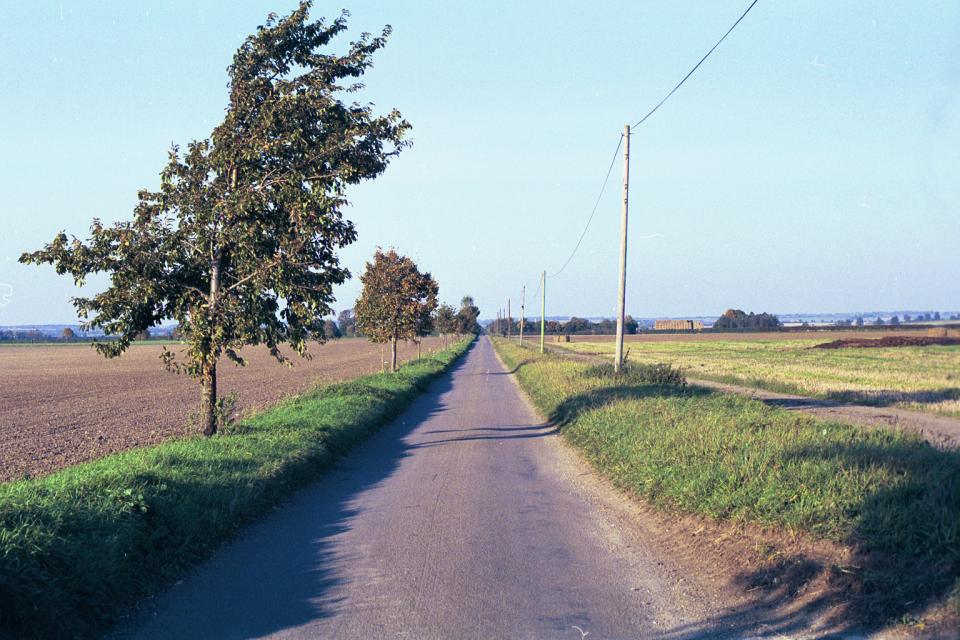 Northfield Road, Ashwell, Hertfordshire (© HCC Landscape)