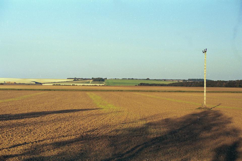 Chalk Hills and Scarps + Nr Newnham, Hertfordshire (© HCC Landscape)