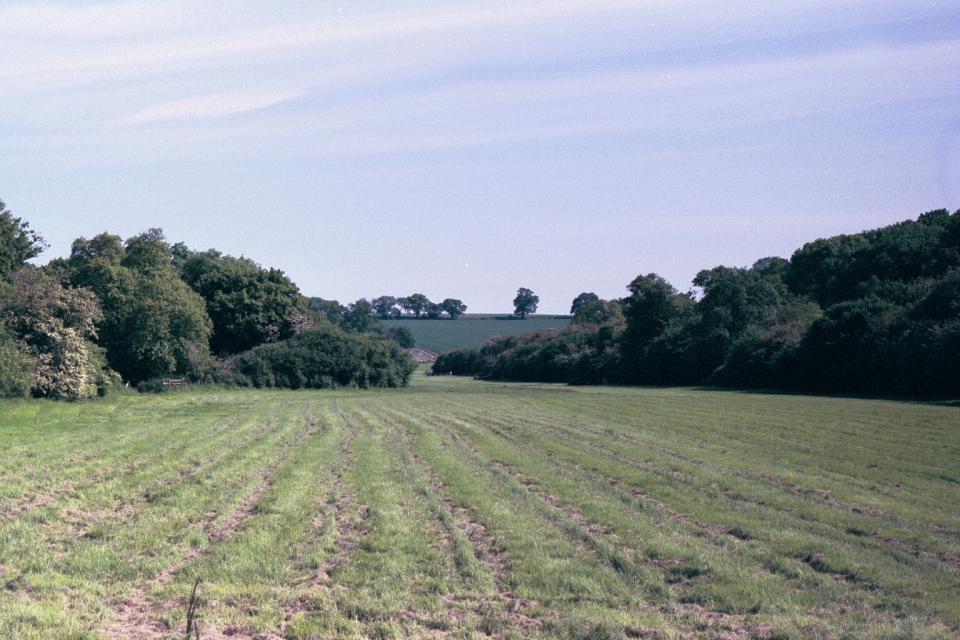 Settled Chalk Valleys + Ash Valley at Upwick Green, Hertfordshire (© HCC Landscape)