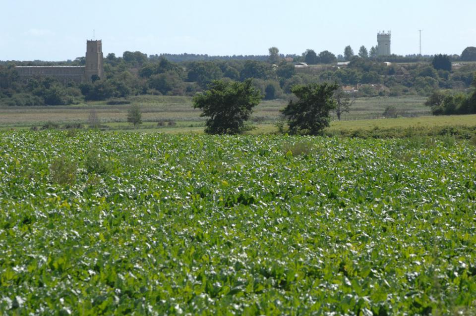 The floor and slopes of the Blyth valley in east Suffolk (© Suffolk County Council)