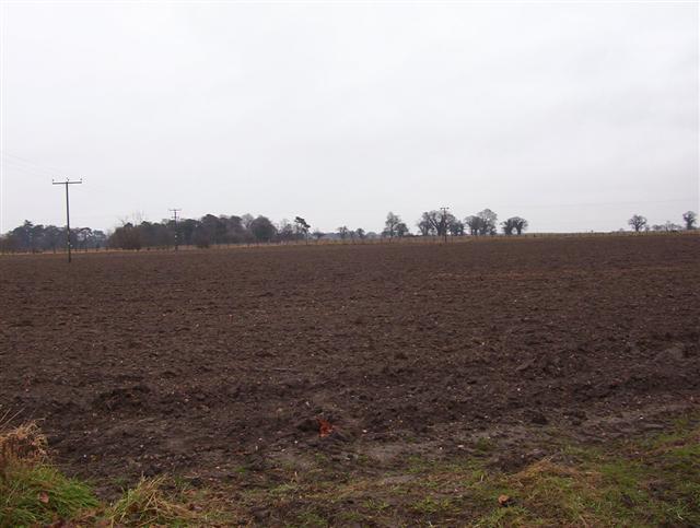 Arable upland to north of River Yare near Strumpshaw, Norfolk.  (© L Marsden / A Yardy)