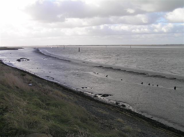 Breydon Water showing Gt Yarmouth syeline in background.  (© L Marsden / A Yardy)