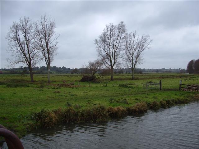Valley Meadowlands + Grazing marsh between Beccles and Bungay. (© L Marsden / A Yardy)