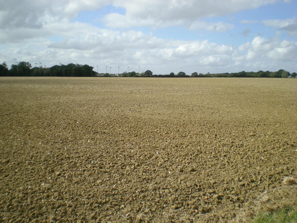 View from Blackley Lane towards new Racecourse (© Essex CC)