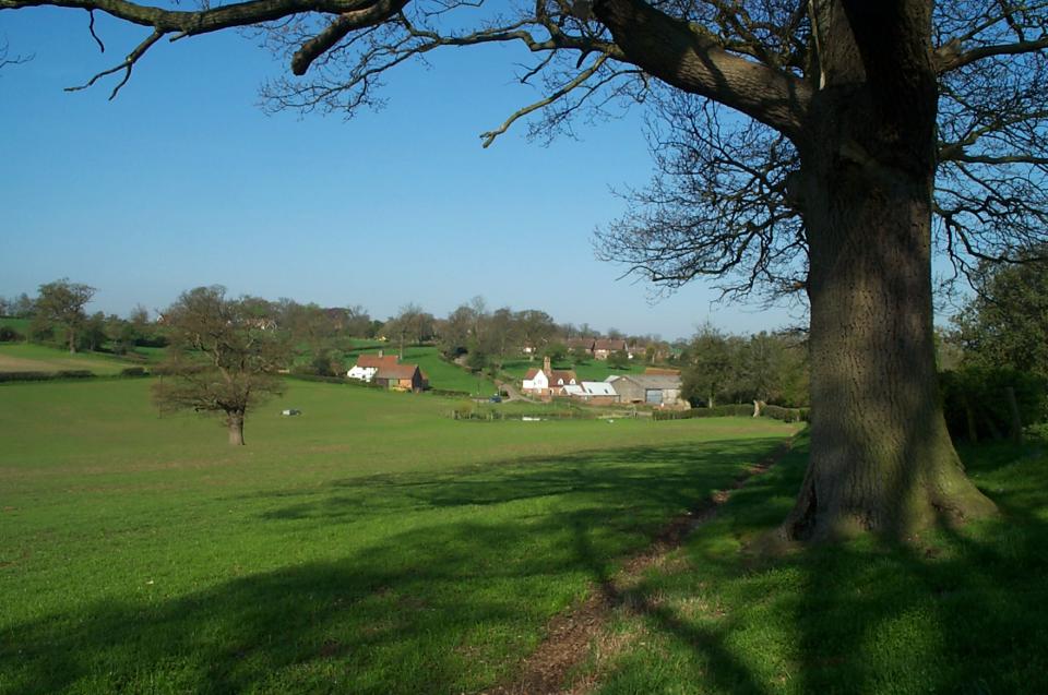 Wooded Chalk Valleys + Ley Green, Hertfordshire (2004) (© HCC Landscape)