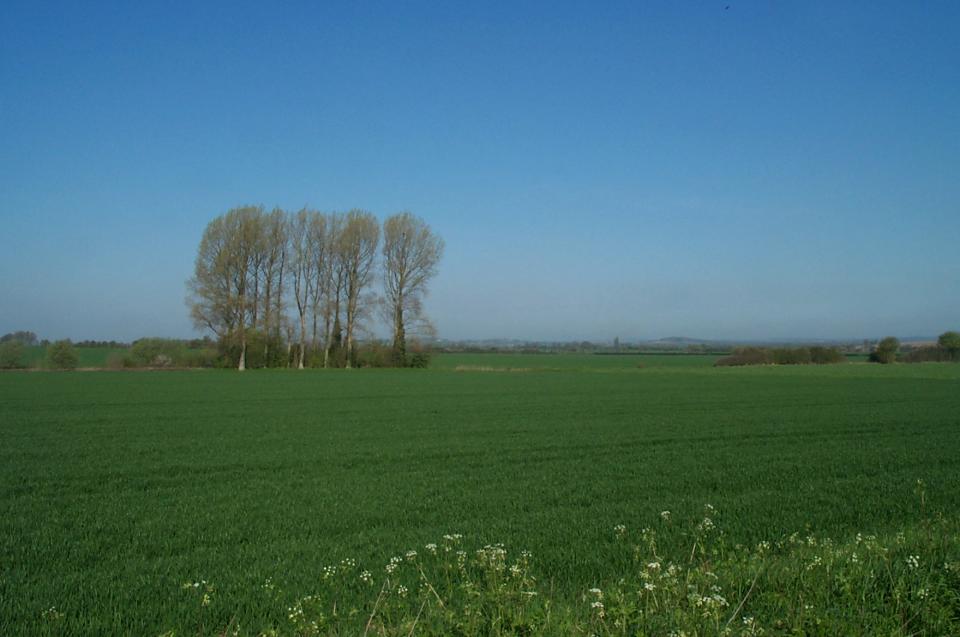 Lowland Village Chalklands + North of Hexton, Hertfordshire (2004) (© HCC Landscape)