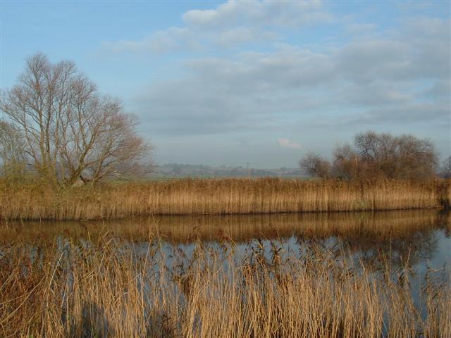 Valley Meadowlands + Long Dam Level, Waveney Valley, Norfolk.  (© L Marsden / A Yardy)