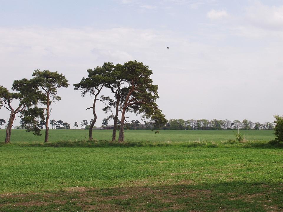 Lowland Village Chalklands + Great Wilbraham Heath, Cambridgeshire. (© Geo-East)