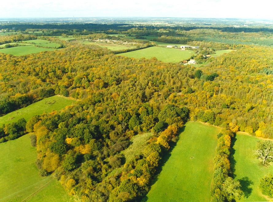 Bencroft Wood, Hertfordshire (© HCC Rural Estates)