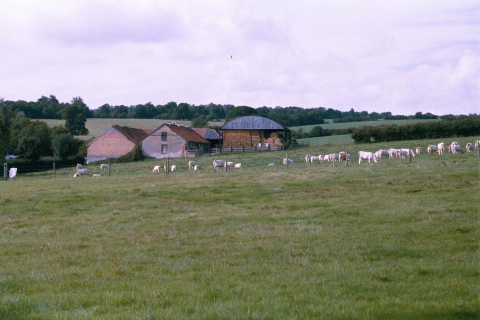 Wooded Hills and Ridges - View of farmland from Vineyards Road, Cuffley, Hertfordshire (© HCC Landscape)