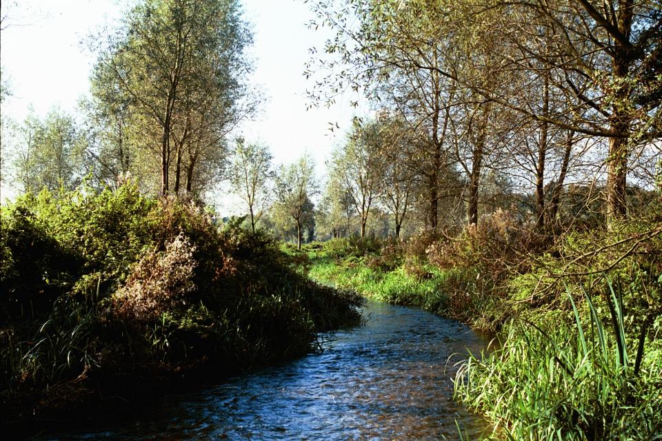 Valley Meadowlands - River Ver at Drop lane, Hertfordshire (© HCC Landscape)