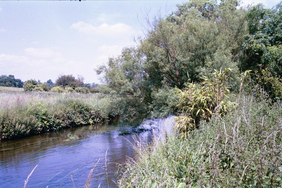 Valley Meadowlands - River Lea near Hertford (© HCC Landscape)