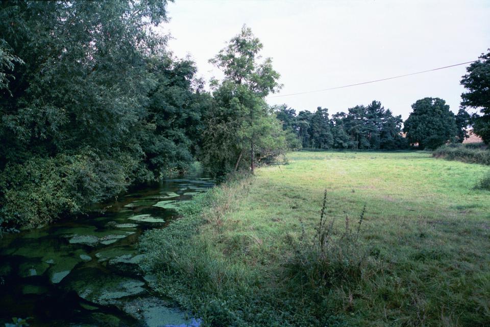 Valley Meadowlands - River Mimram near Tewin Mill House, Hertfordshire (© HCC Landscape)