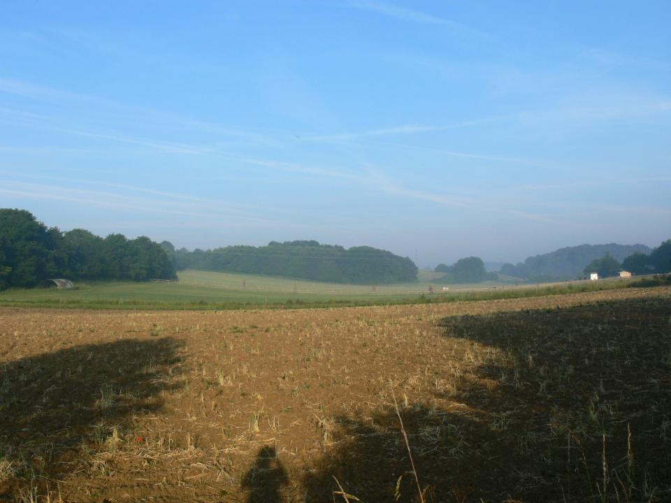 Valley Settled Farmlands + Looking west across arable fields, horse paddocks and copse woodland. Baylham, Suffolk. (© Jonathan Dix)
