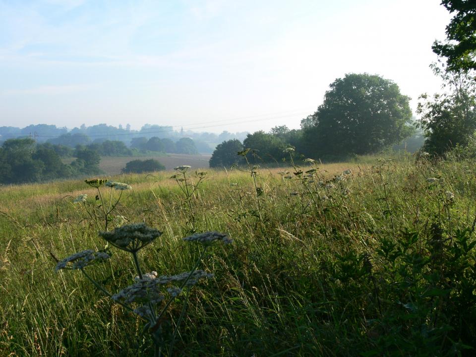 Looking east across Baylham towards the Gipping Valley. (© Jonathan Dix)