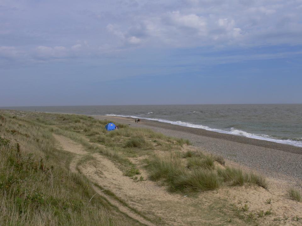 Coastal Dunes + Looking north on the dunes between Thorpeness and Sizewell, Suffolk. (© Jonathan Dix)