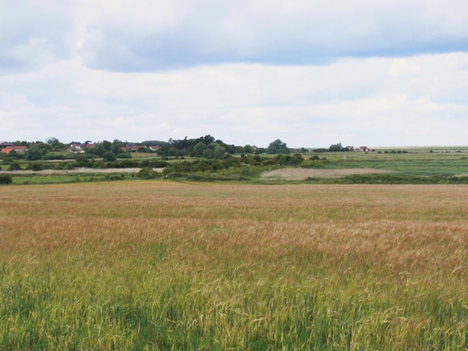 Lowland Village Farmlands + Lowland village farmlands view from the A149 towards Burnham Norton, Norfolk. (© Jonathan Dix)