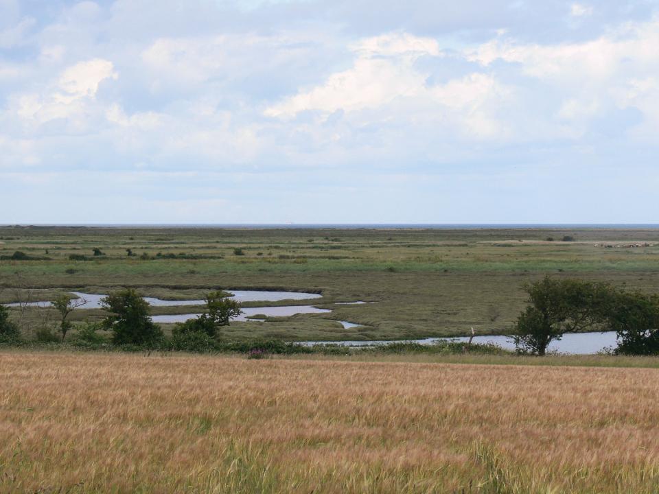 View north across salt marsh and intertidal flats just west of Burnham Overy Staithe, Norfolk  (© Jonathan Dix)