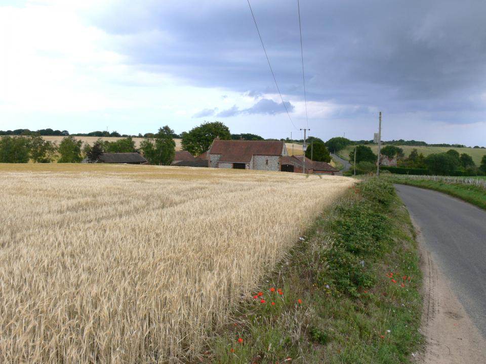 Plateau Estate Farmlands + View east towards Southrepps, Norfolk. Plateau Estate Farmlands (left) merge with Lowland Village Farmlands (right). (© Jonathan Dix)