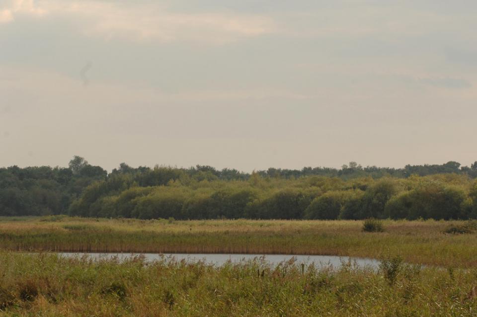 The floor of the Waveney valley at Redgrave in Suffolk (© Suffolk County Council)