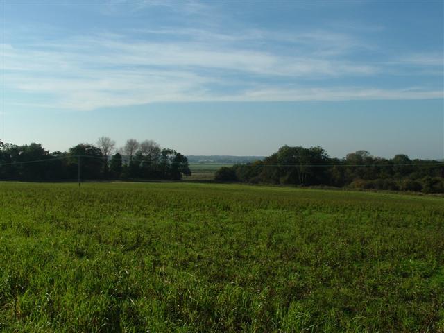 Lowland Settled Farmlands + Views southward towards Yare valley with alder carr woodland on fringes of marshland. Norfolk. (© L Marsden / A Yardy)