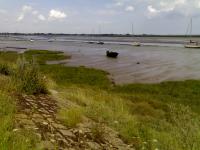 Saltmarsh and Intertidal Flats + near Heybridge Basin looking East (2011) (© Simon Odell)