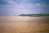 Chalk Hills and Scarps - Looking towards Therfield, Hertfordshire from Coombe Road (© HCC Landscape)