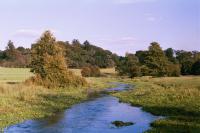 River Mimram, Tewin Meadows, Hertfordshire (© HCC Landscape )
