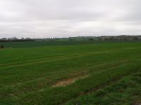 Open landscape with farmstead dissected by a small valley (© Suffolk County Council)