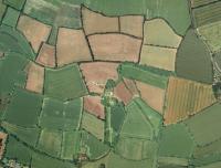 Intact pattern of early random enclosure near Eye in Suffolk (© Suffolk County Council)