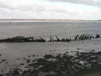 Saltmarsh and Intertidal Flats + Breydon Water showing remains of old wherry in foreground. (© L Marsden / A Yardy)