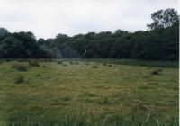 Upton Marsh SSSI (© Simon Odell)