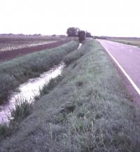 Planned Peat Fen + Burnt Fen Mildenhall (© Suffolk County Council)