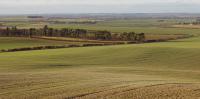 Chalk Hills and Scarps + Chalk landscape at Heydon, Cambridgeshire. (© Geo-East)