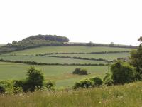 Chalk Hills and Scarps + The Middle Chalk scarp at Newfield Hill, Weston, Herts. (© Geo-East)
