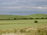 Chalk Hills and Scarps + The Upper Chalk scarp at Bird Hill, Clothall, Herts.  (© Geo-East)