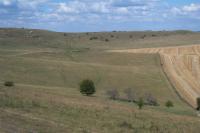 Chalk Hills and Scarps + Looking E. from the path up to Ivinghoe Beacon, Buckinghamshire (2003) (© Simon Odell)