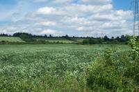 Lowland Settled Claylands + View from Netherhall Road, Essex, across Lowland Settled Claylands to Wooded Hills &amp; Ridges (2004) (© HCC Landscape)