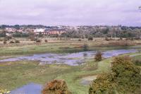 Valley Meadowlands - Kings Meads, Hertford (© HCC Landscape)