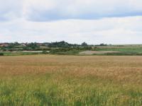 Lowland Village Farmlands + Lowland village farmlands view from the A149 towards Burnham Norton, Norfolk. (© Jonathan Dix)