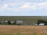 View north across salt marsh and intertidal flats just west of Burnham Overy Staithe, Norfolk  (© Jonathan Dix)