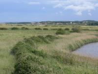 View across the coastal levels east towards Cley next the sea, Norfolk. (© Jonathan Dix)