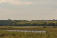 The floor of the Waveney valley at Redgrave in Suffolk (© Suffolk County Council)