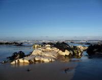 Chalk scoured clean by tide after full moon. © Copyright R Yeomans. 2010 (Geo-East photo gallery)