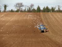 Seagulls following the plough © Copyright John Sutton and licensed for reuse under this Creative Commons Licence